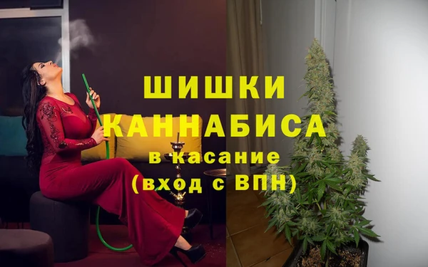 стафф Волосово
