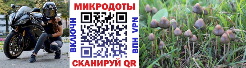 Купить где  Колпашево  Галлюциногенные грибы ЛСД 